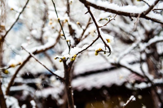 同時