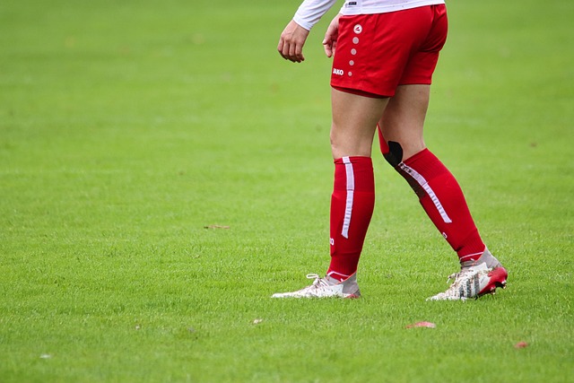 世南美预 世南美预