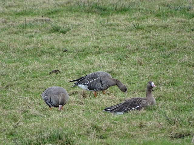 良之隆-2025“阿具杯”中国艺术海鲜姿造艺术冷菜大赛网络宣传推广大使-金朝.