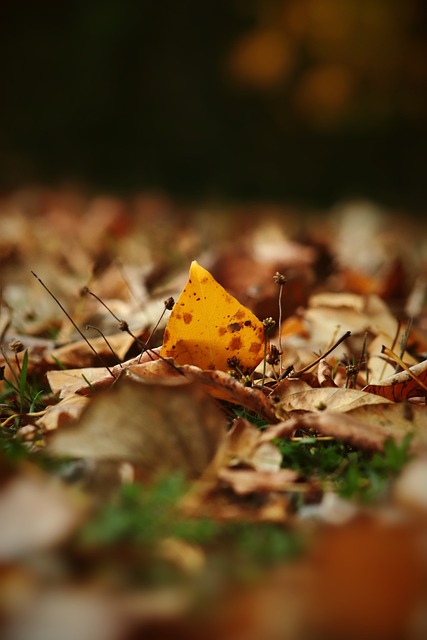 有充足薪资 有充足薪资