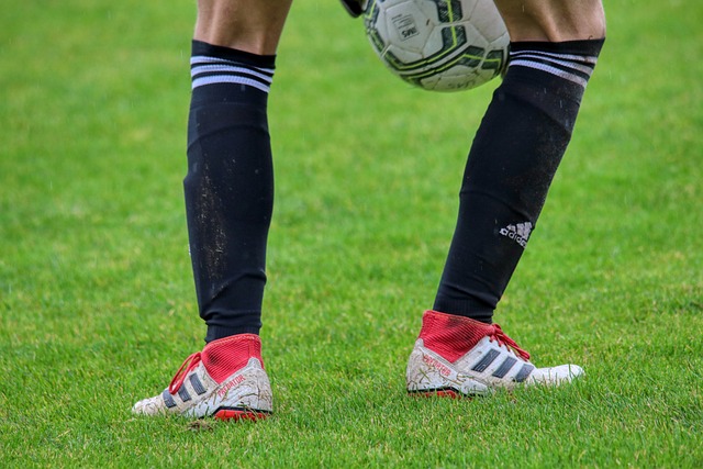 在金信煜上 在金信煜上