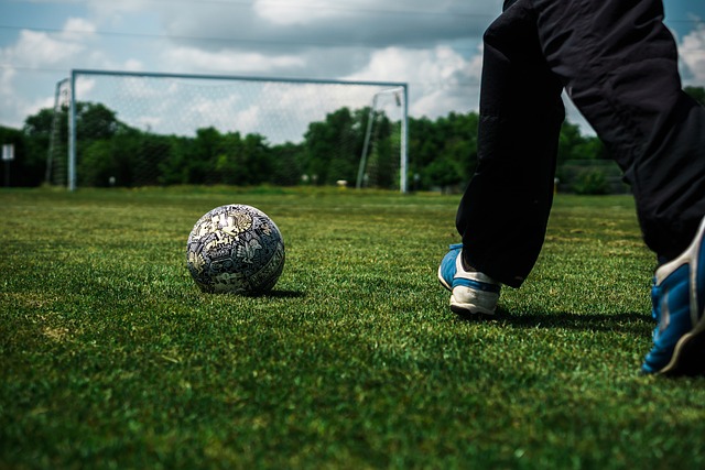 NBA杯-鶯歌29+9+7 小波特24+6 約基奇缺席 鵜鶘擊敗掘金終結5連勝.