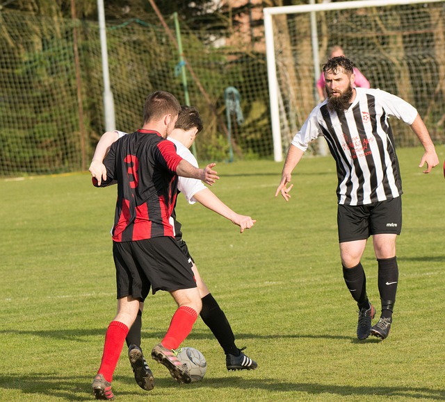 球大联盟 球大联盟